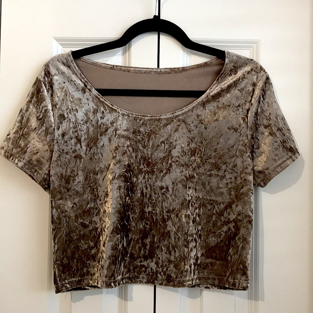 Velvet Crop Top